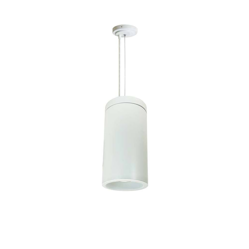 6" Cobalt Cable Mount Cylinder, White, 750L, 3000K, White/White Reflector, 120V Triac/ELV/0-10V