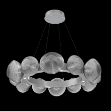 Hammerton CHB0089-36-CS-S-CA1-L3 - Mesa Radial Ring - 36-Inch