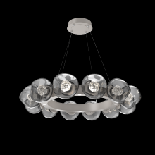 Hammerton CHB0095-36-BS-ZS-CA1-L1 - Luna Radial Ring - 36-Inch