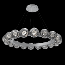 Hammerton CHB0095-48-CS-ZS-CA1-L1 - Luna Radial Ring - 48-Inch