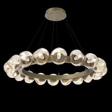 Hammerton CHB0095-48-GB-GA-CA1-L1 - Luna Radial Ring - 48-Inch