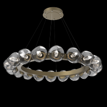 Hammerton CHB0095-48-GB-GS-CA1-L1 - Luna Radial Ring - 48-Inch