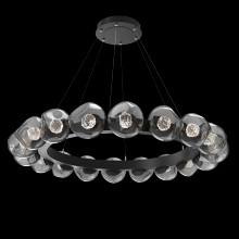 Hammerton CHB0095-48-MB-FS-CA1-L1 - Luna Radial Ring - 48-Inch