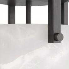DFC04.d5.jpg