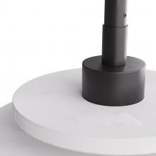 DPC10.d6.jpg