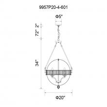 CWI-9957P20-4-601-31.jpg