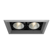 Eurofase TE132-0N - MULT,PAR30,TRM,2LT,75W,PT/BLK
