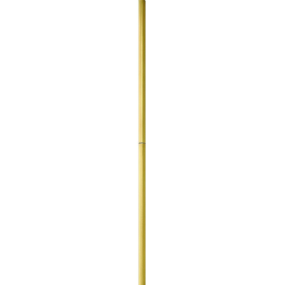 ACCESSORY STEM